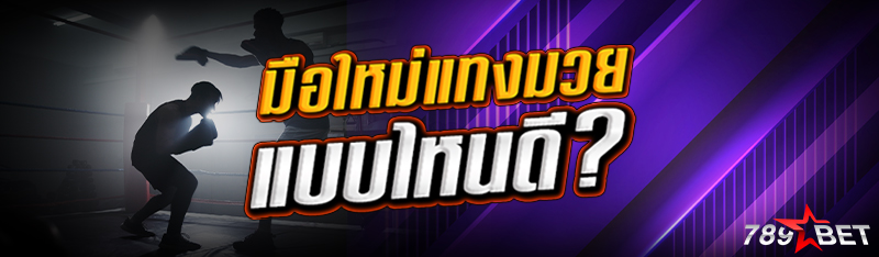มือใหม่แทงมวยแบบไหนดี?