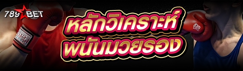 หลักวิเคราะห์ พนันมวยรอง